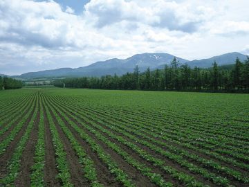 株式会社ニッコー機器