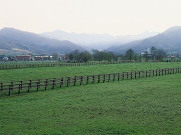 仲村材木店